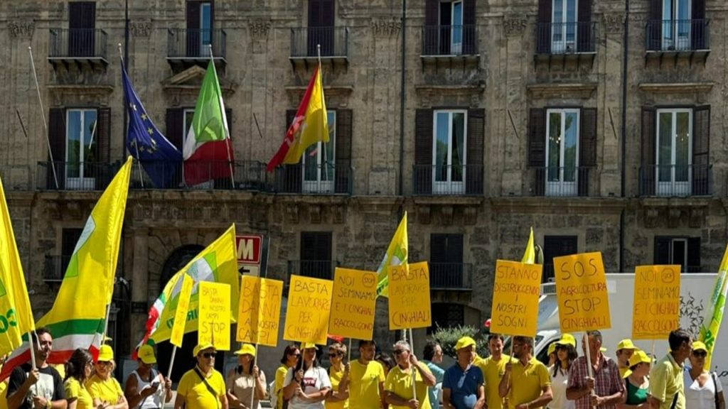 protesta-coldiretti-palazzo-dorleans