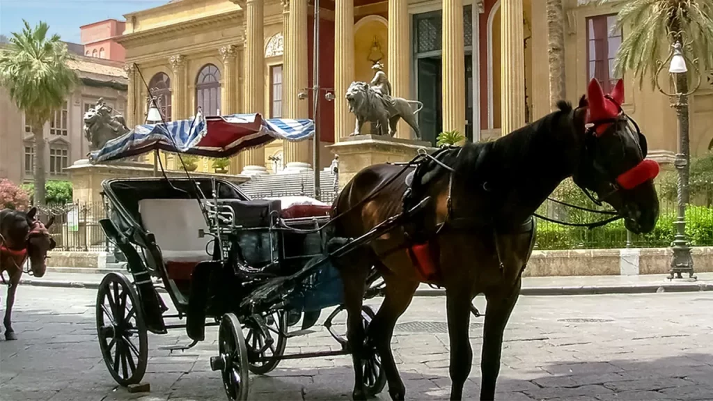 Carrozza cavalli palermo