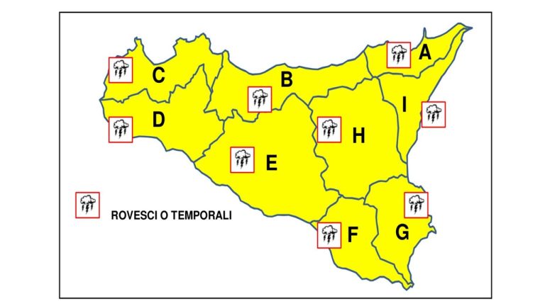 allerta 7-1
