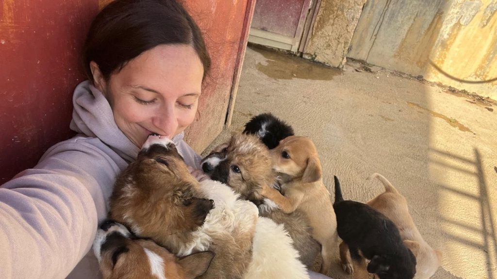 chiara calasanzio cani 2025