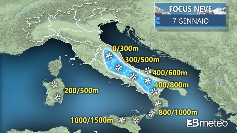 focus neve 7 genn