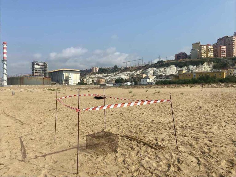 spiaggia porto empedocle wwf