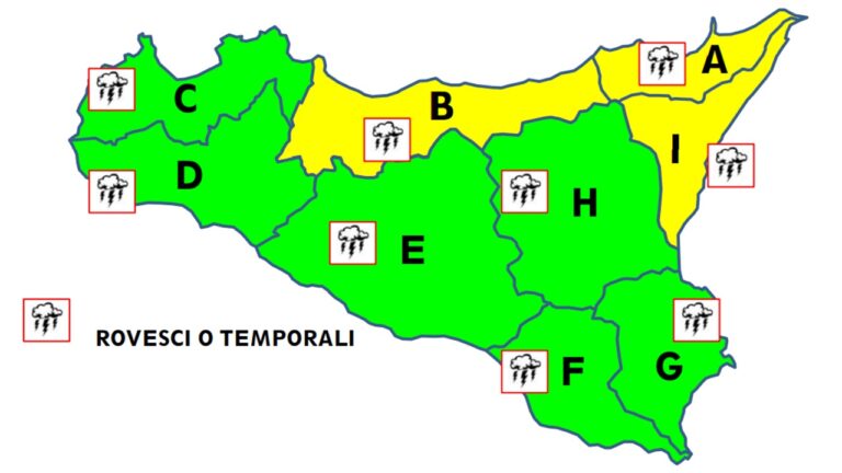 allerta 13