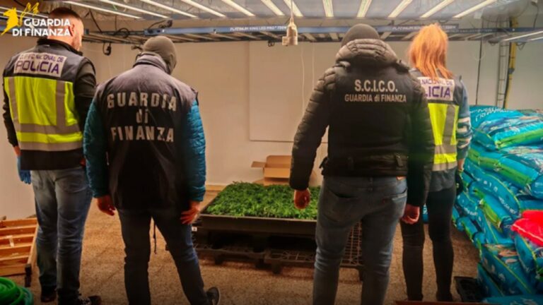 droga bancali frutta 2026