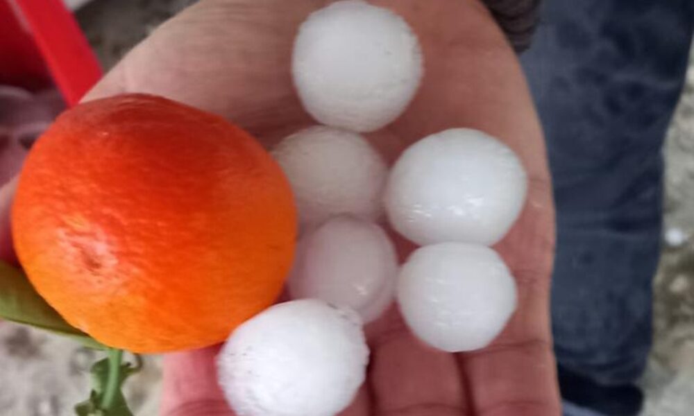 grandine-arance-ribera-1000x600