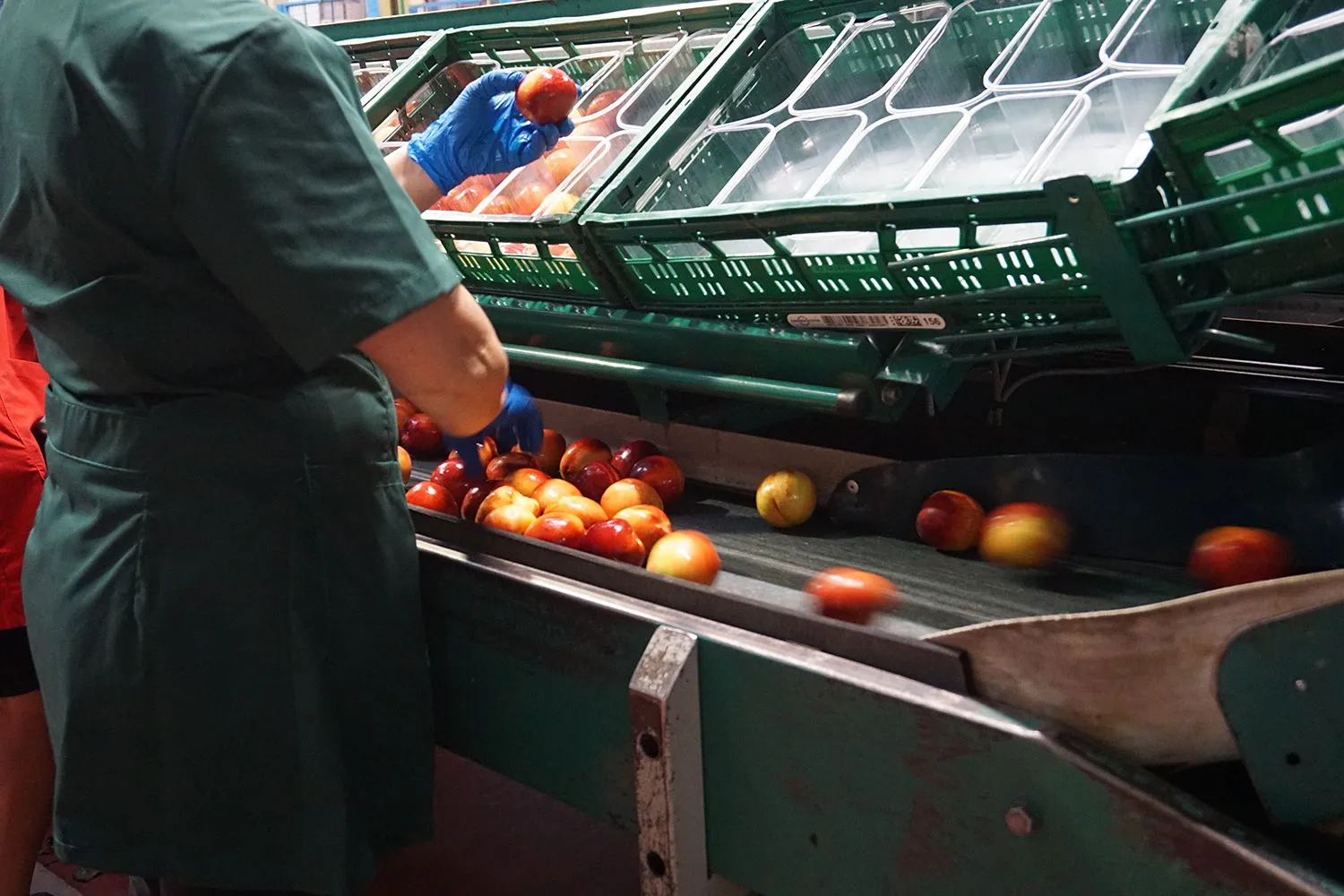 Sfruttamento dei lavoratori, imprenditore ai domiciliari