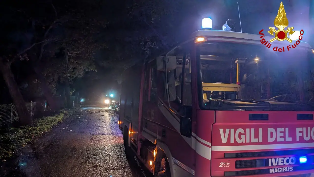 vigili del fuoco alberi notte