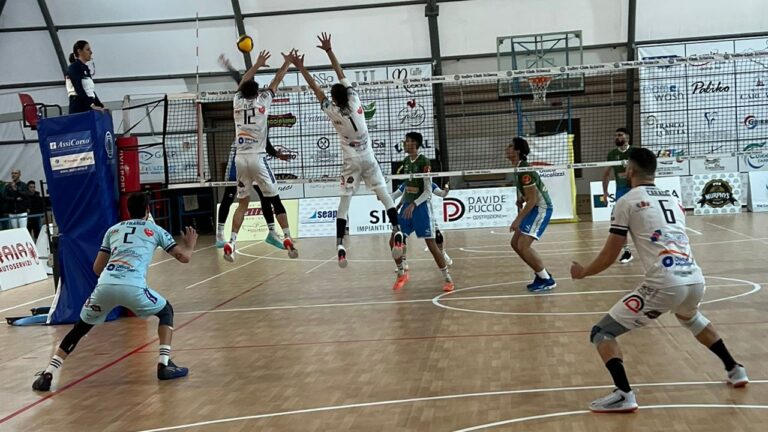 volley 2026