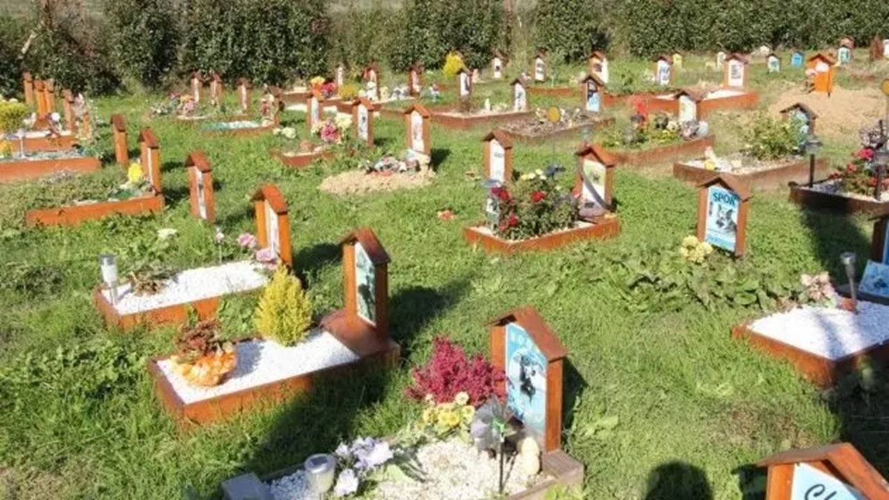 cimitero animali
