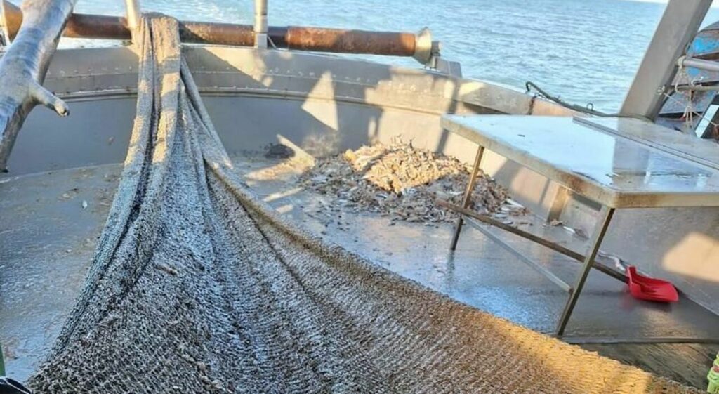 peschereccio rete mucillagine