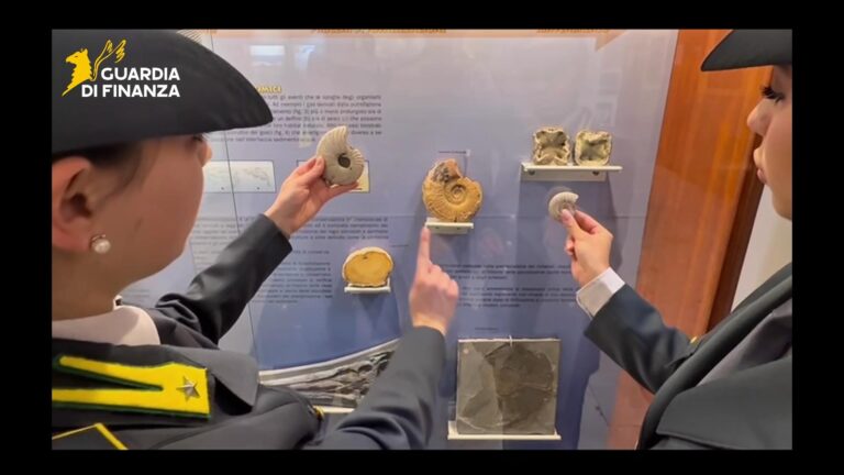 gdf palermo dinosauri