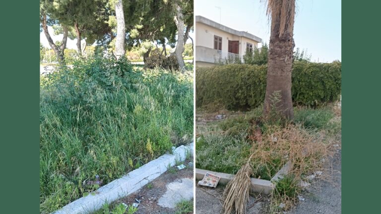 menfi disservizi decoro urbano 2026