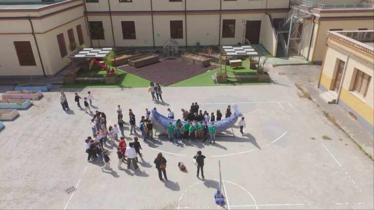 balena plesso s-agostino 1