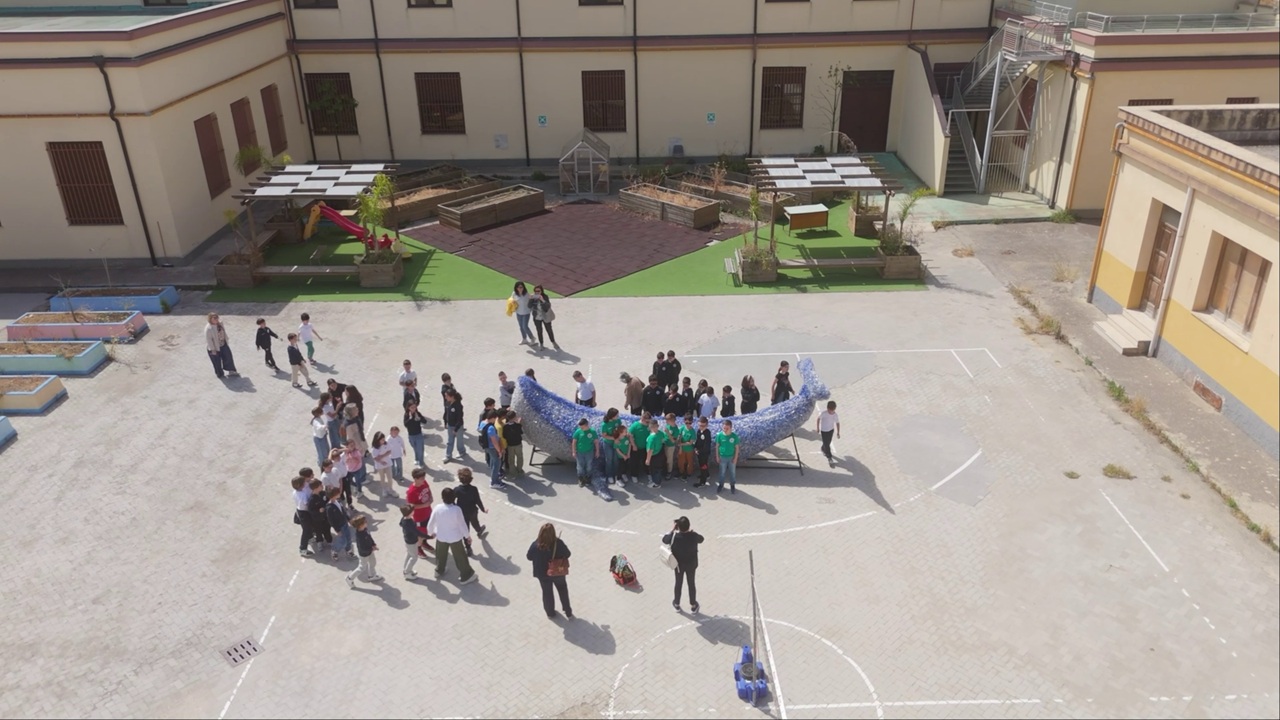 balena plesso s-agostino 1