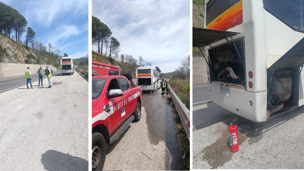 bus gallo disservizio 2026