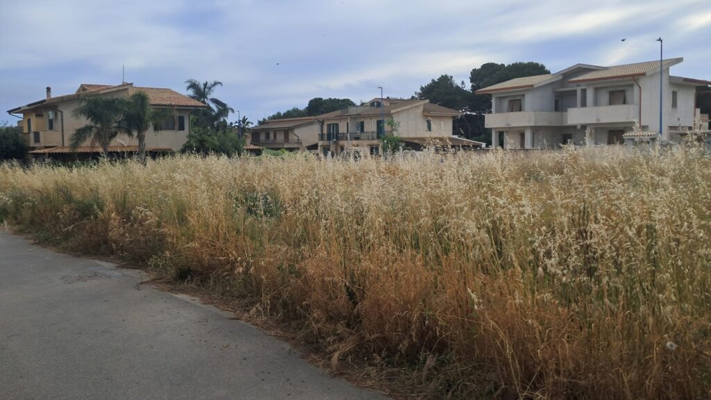 erbacce area comunale san marco 2026