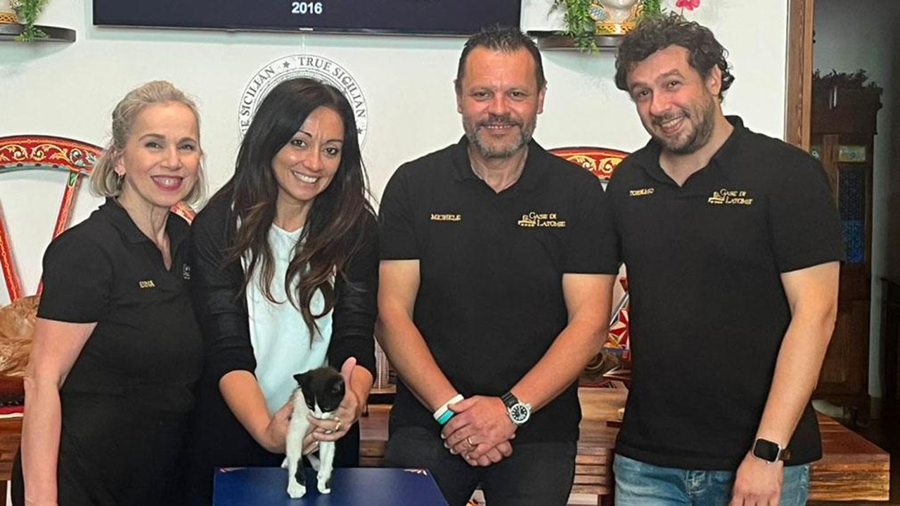 gatto-centonze castelvetrano 2026