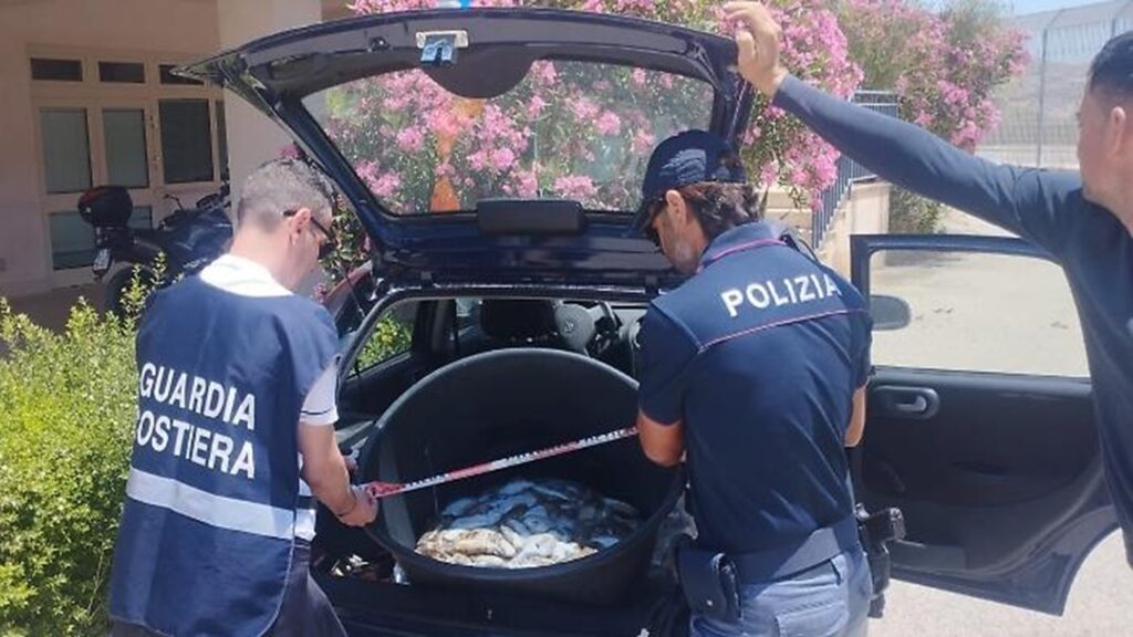 guardia costiera sequestro seppie