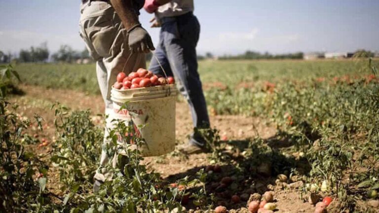 lavoro nero campagne