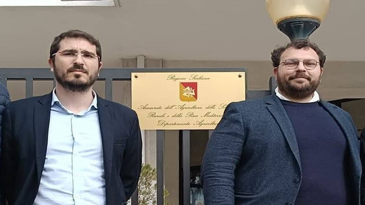 termine dimino 2026