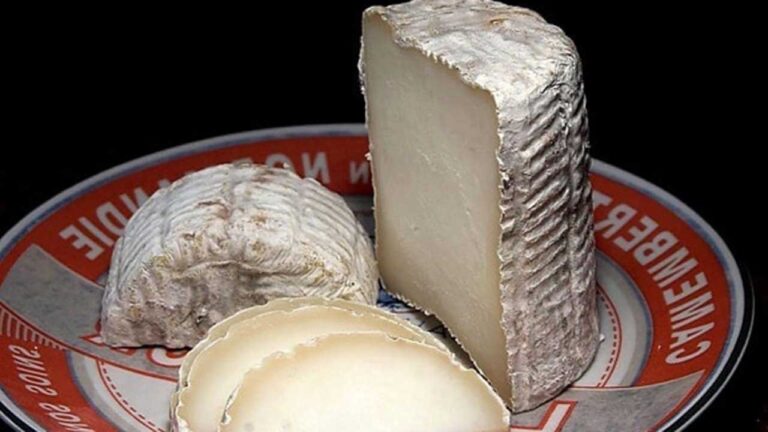 tronchetto-cheese-576x432