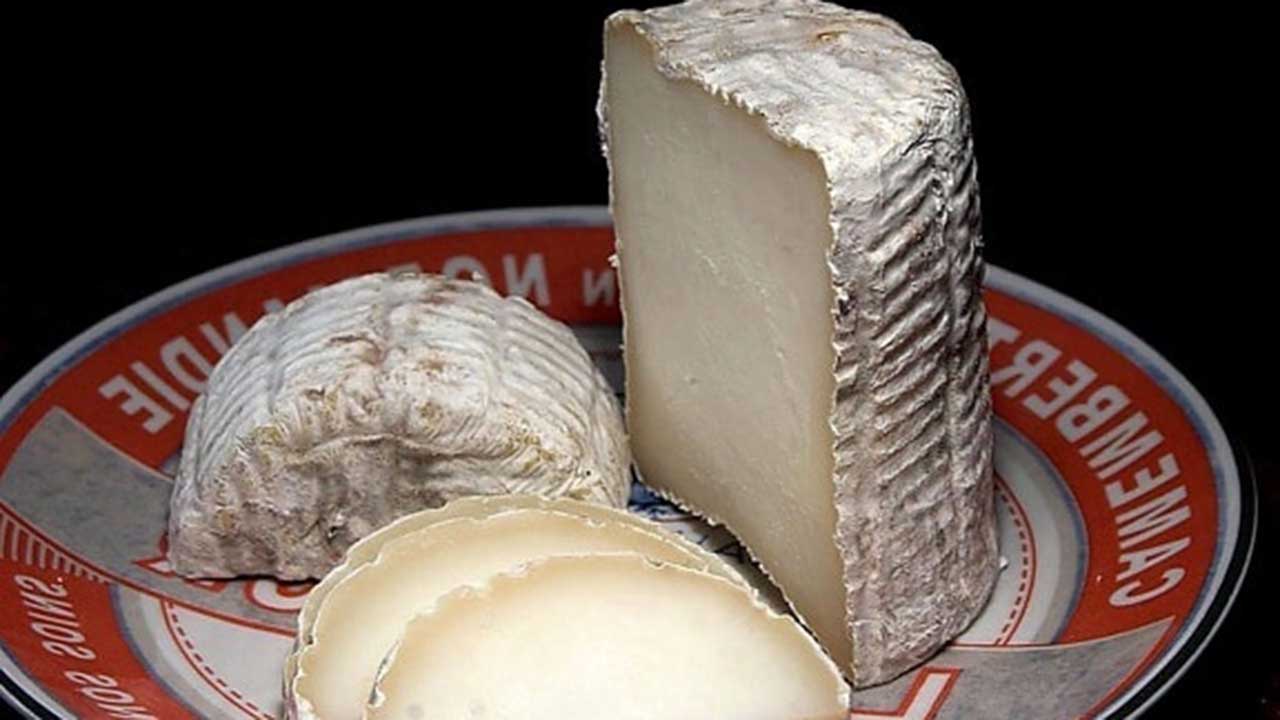 tronchetto-cheese-576x432