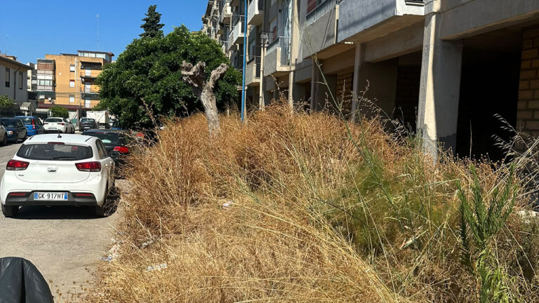 Erbacce via delle Margherite
