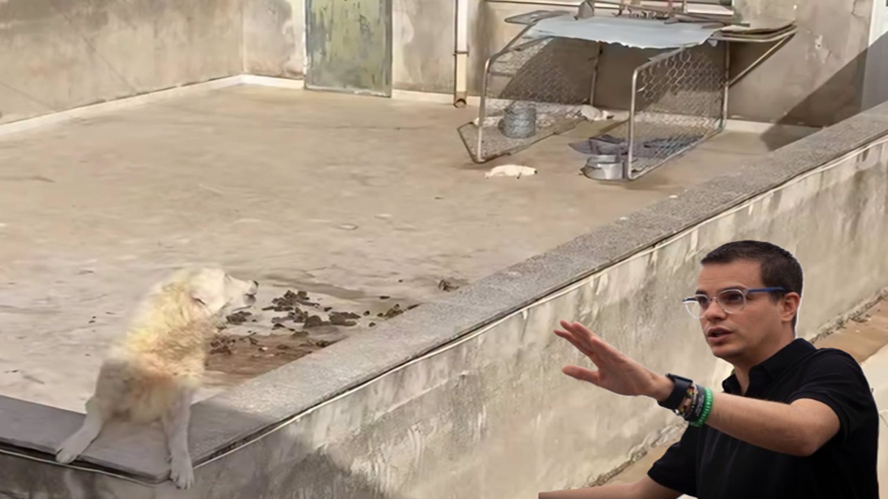 Manifestazione a Sciacca: Enrico Rizzi in città dopo il caso dei cani morti sul terrazzo