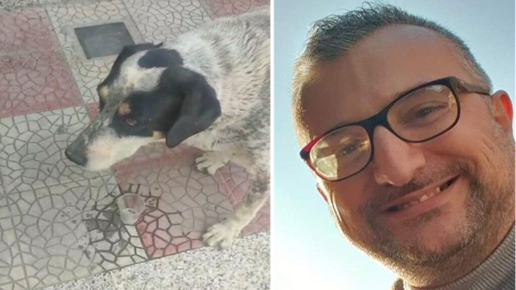 giosuè cane