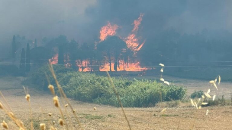 incendio monte arancio 2026