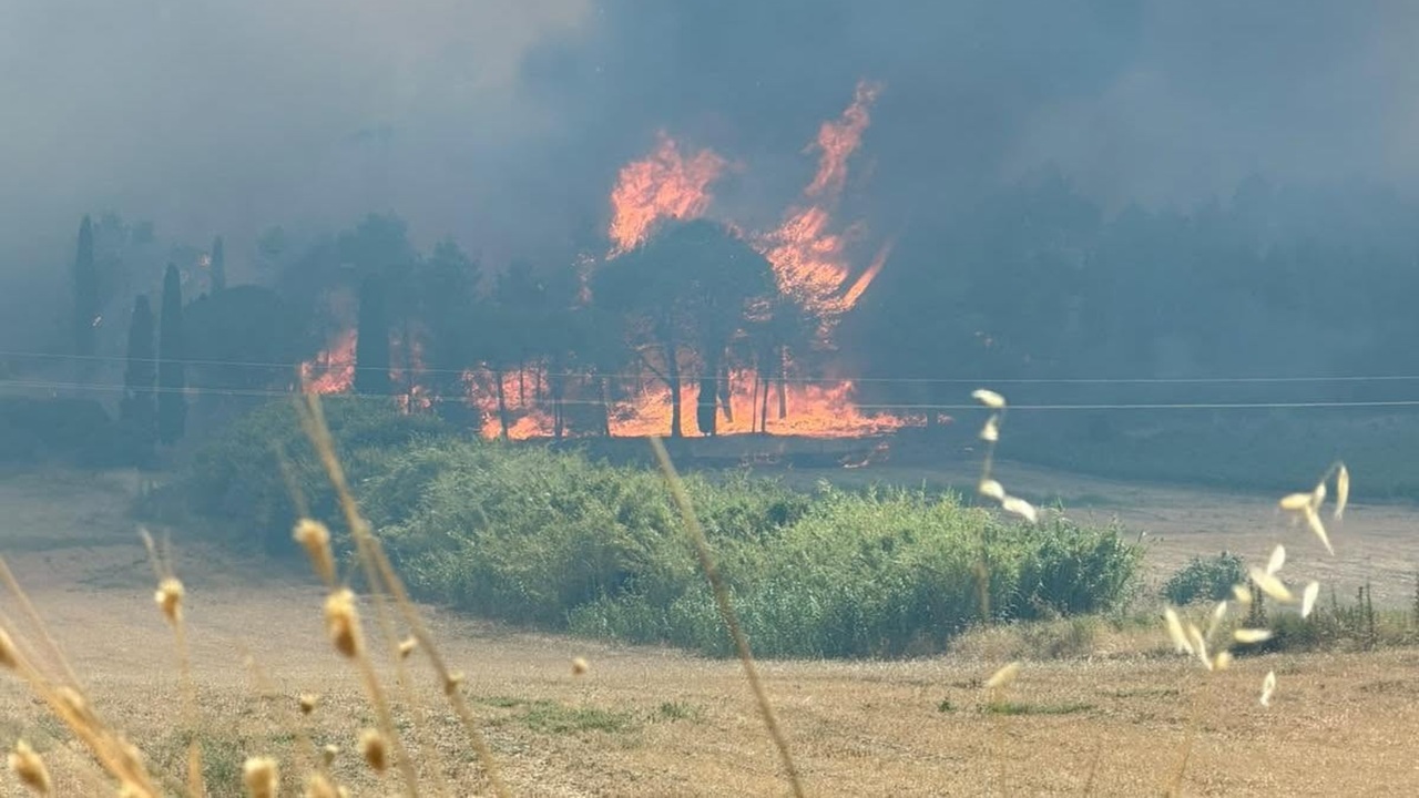 incendio monte arancio 2026