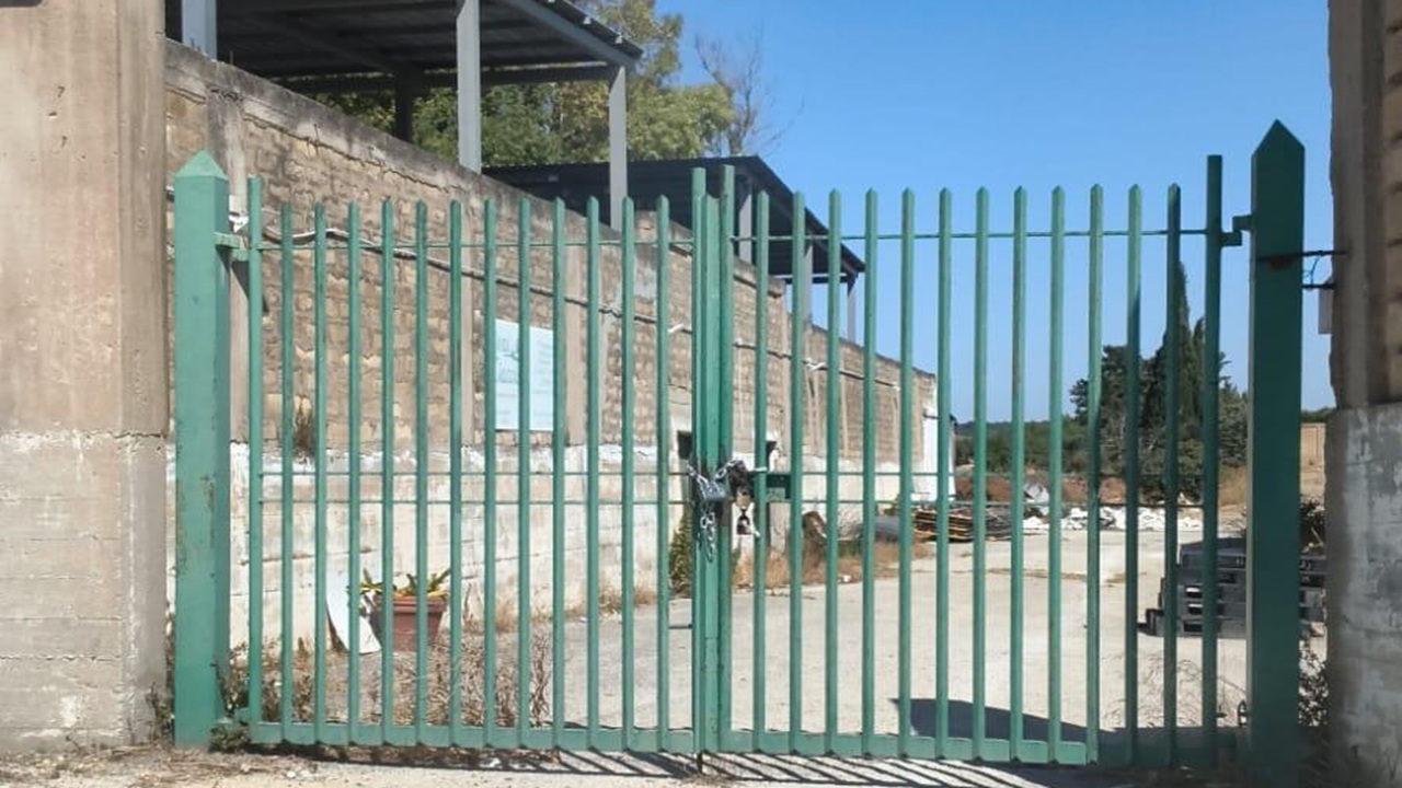 cancello stadio giuffrè 2026