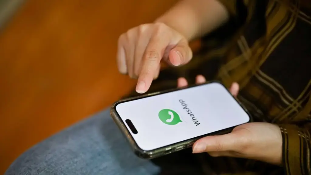 whatspp telefono