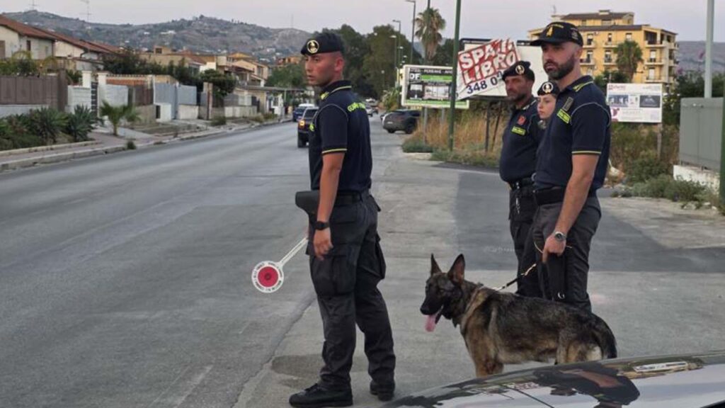 Molly cane Guardia Finanza