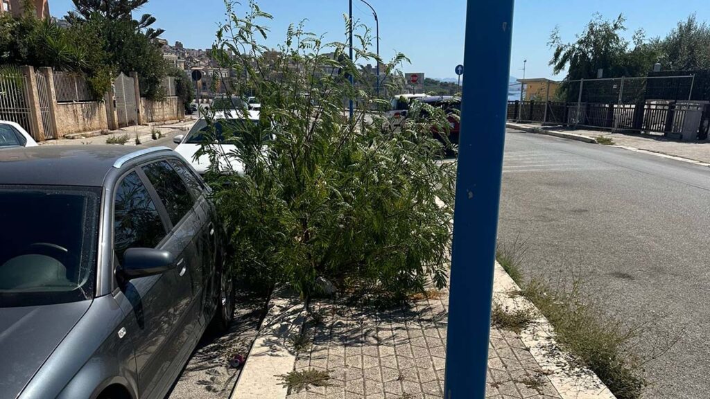 Via Allende degrado