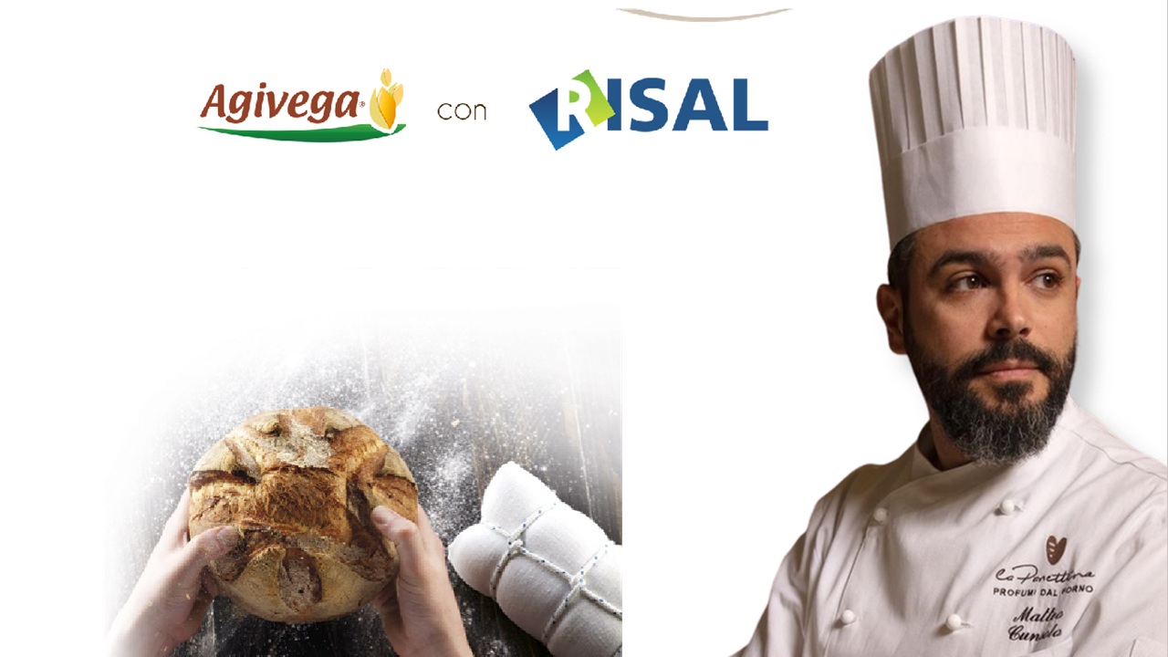 agivega risal