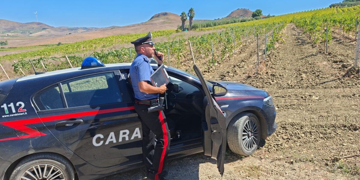 carabinieri-incidente-sul-lavoro-vendemmiatrice-1200x600