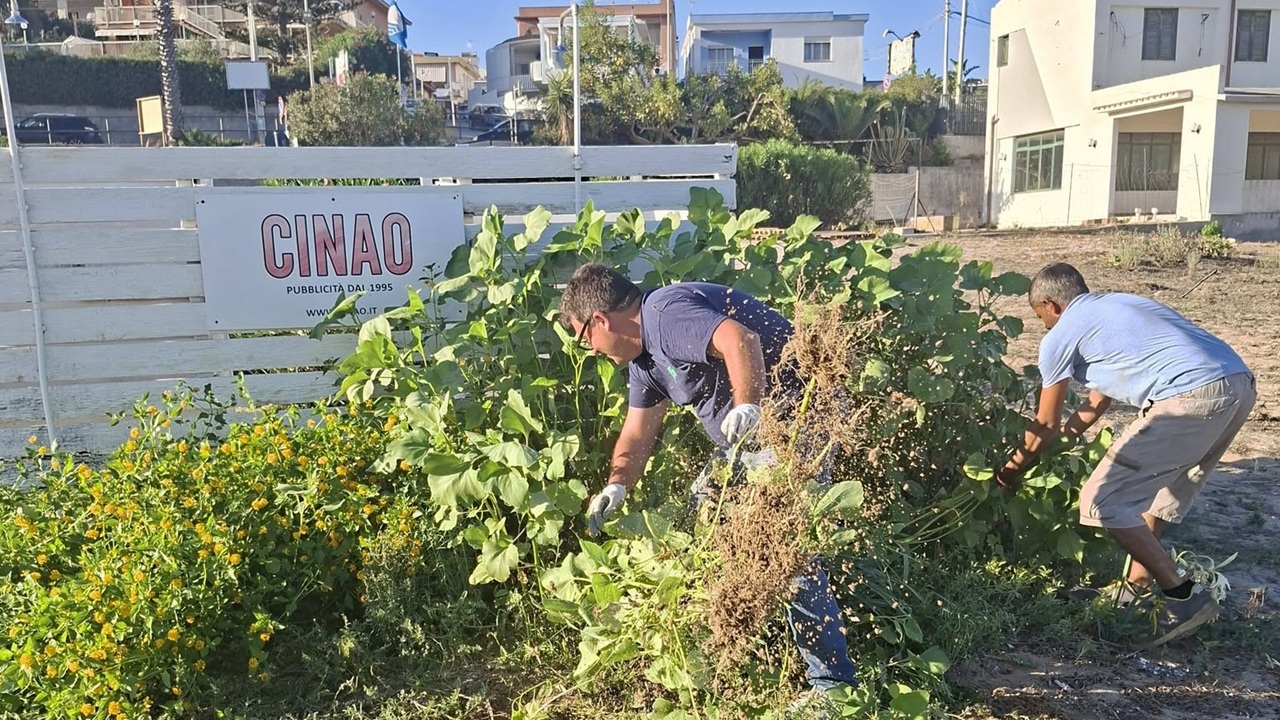 Il sindaco giardiniere: a Porto Palo toglie l’erba a polemizza con gli avversari politici: “Potevano farlo loro”