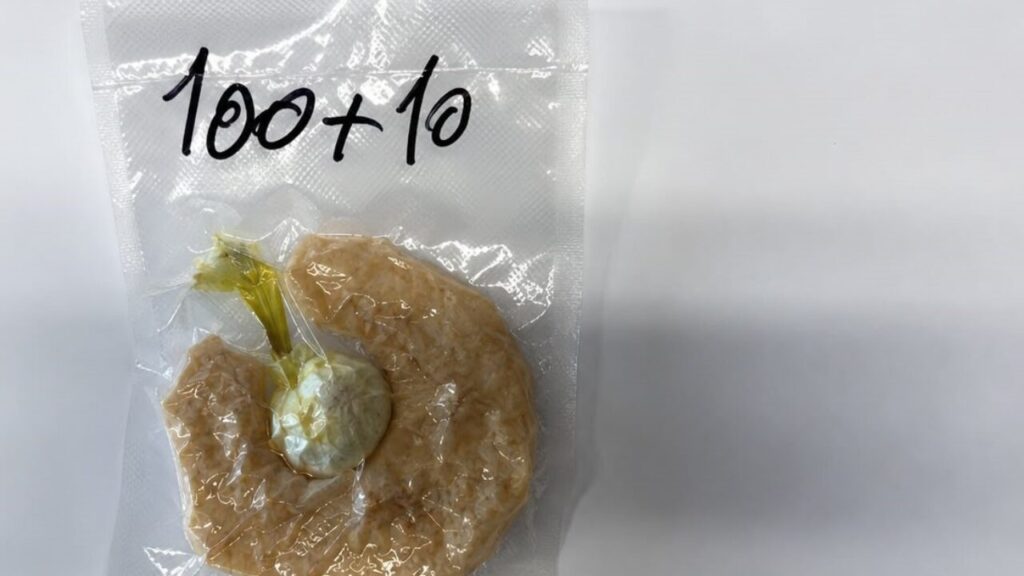 droga sequestrata