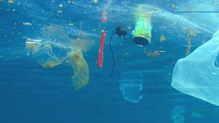 inquinamento-mare-plastica