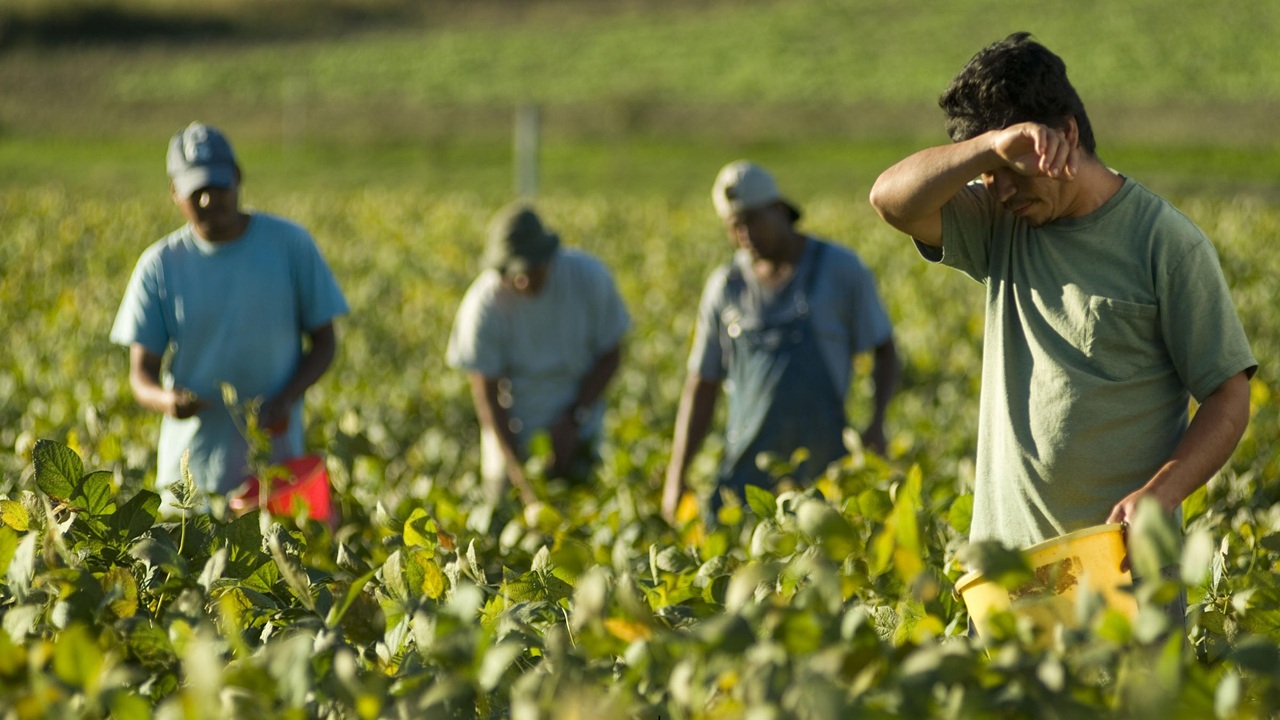 lavoratori campagne