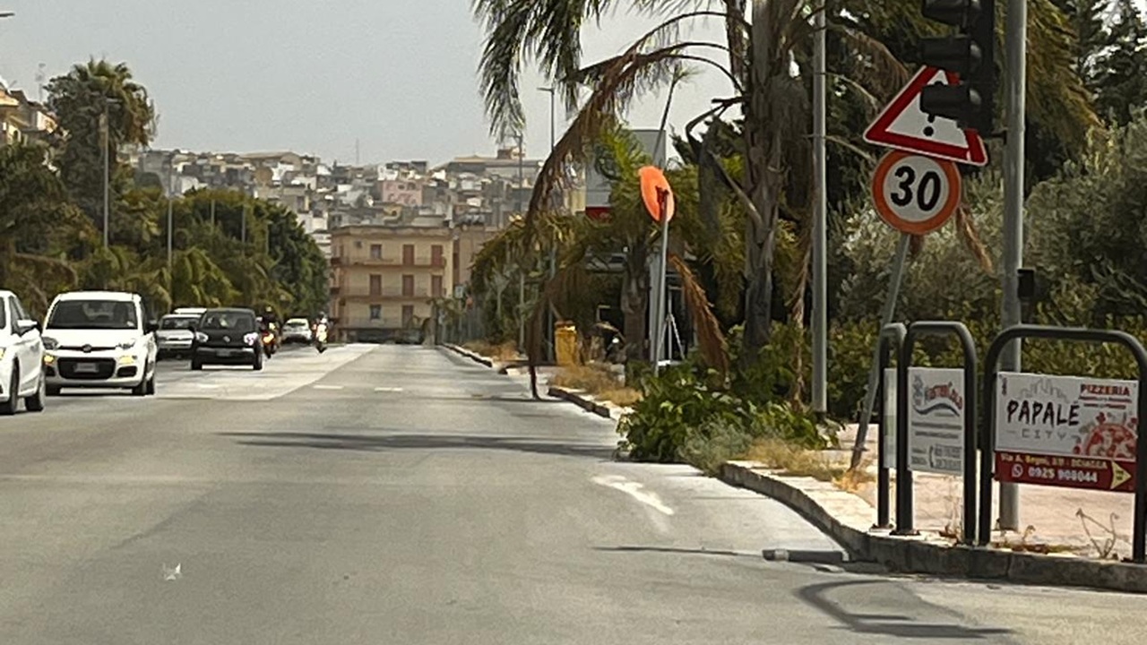 viale sciascia 2026